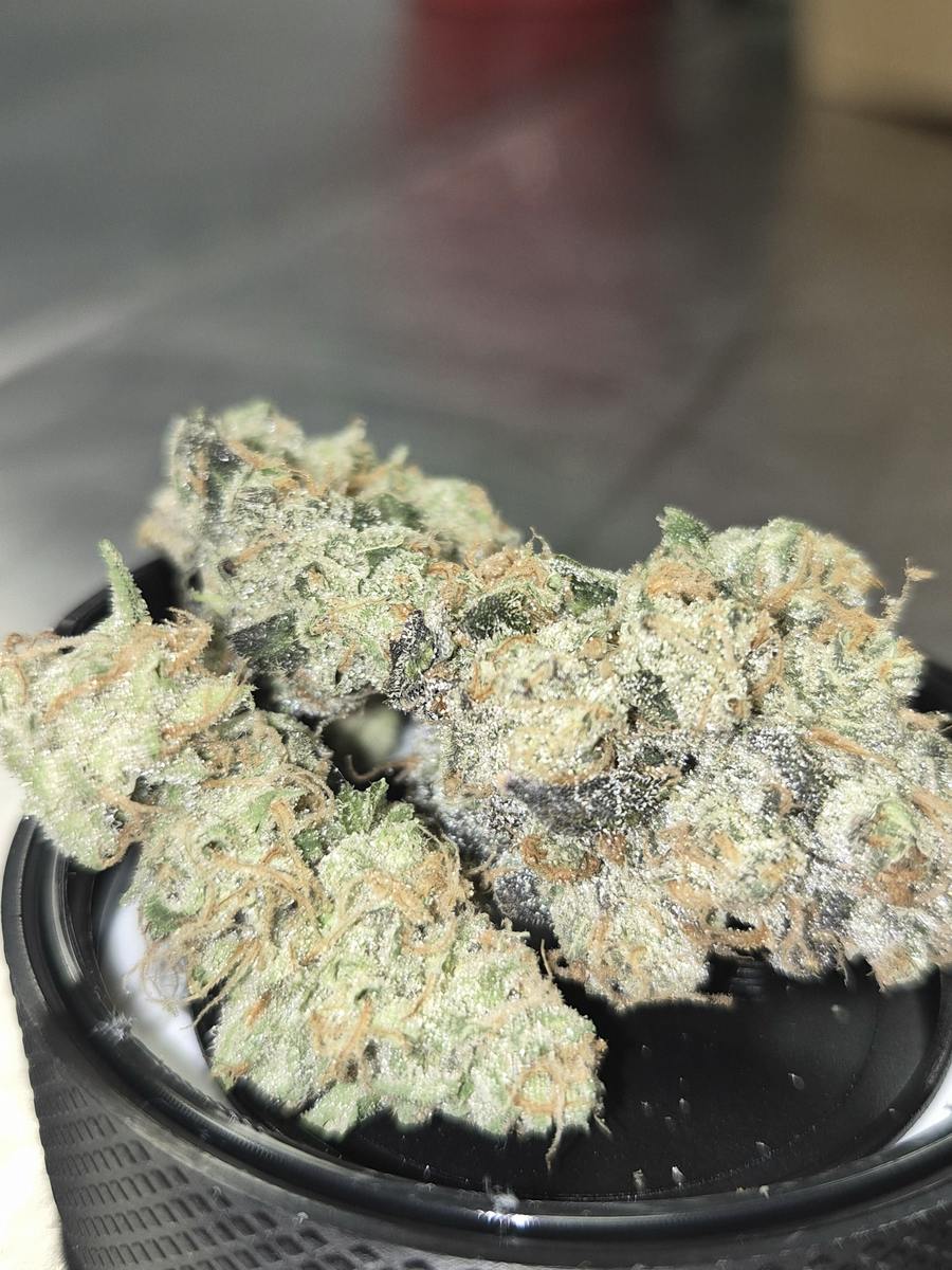 Notorious - Indica-Dom - Cannatopia Tulsa - MED - 3.5g - Packed