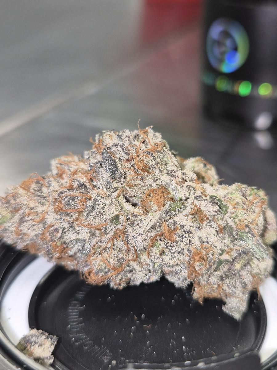 Royale With Freeze - Hybrid - Cannatopia Tulsa - MED - 3.5g - Packed