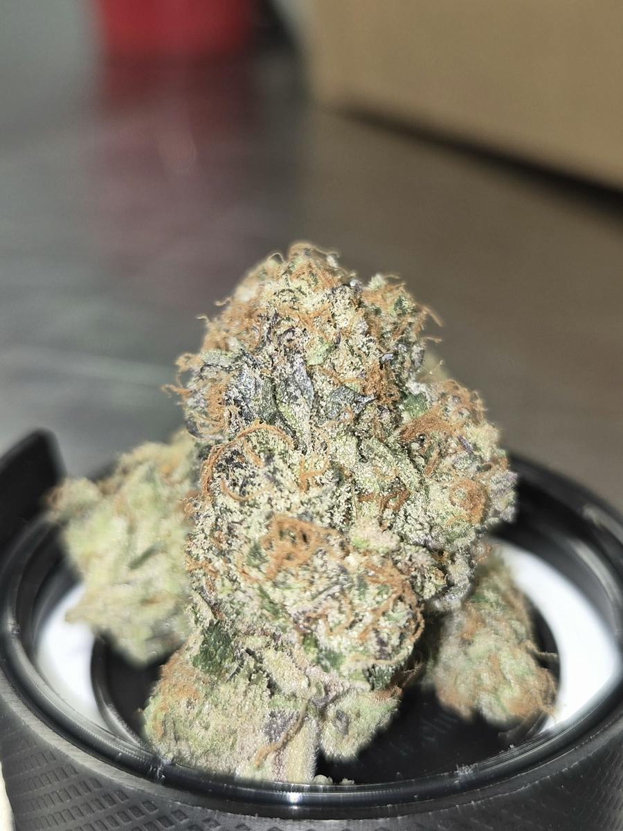 Apricot Rot - Sativa-Dom - Cannatopia Tulsa - MED - 3.5g - Packed