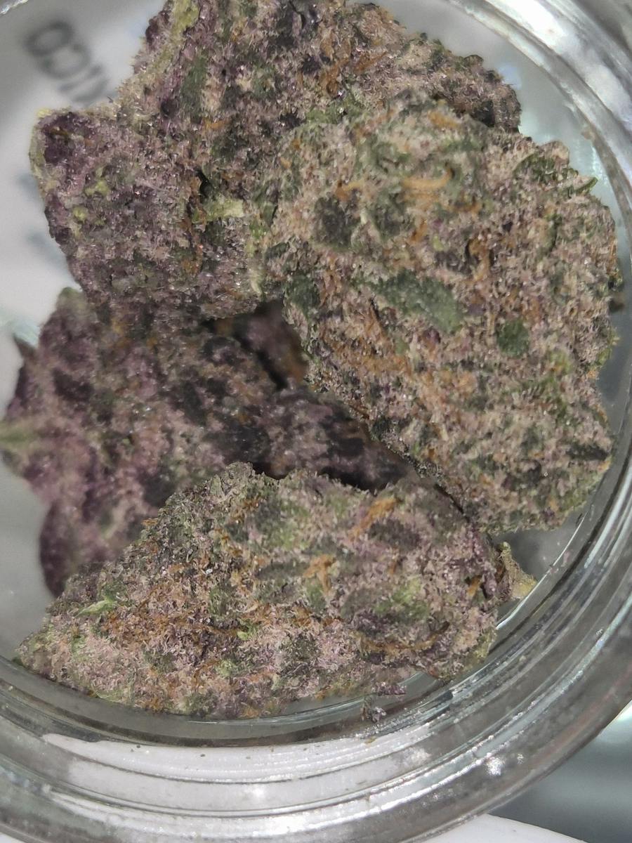 Colorado Nightshifter - Indica-Dom- Cannatopia Tulsa - MED - 3.5g - Packed