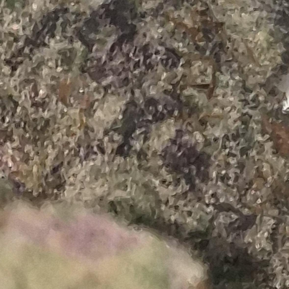 SuperBuff Cherry - Hybrid - Cannatopia Tulsa - MED - 3.5g - Packed