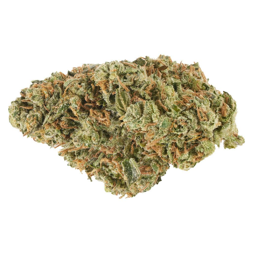 CANACA - Alien Guy 7g