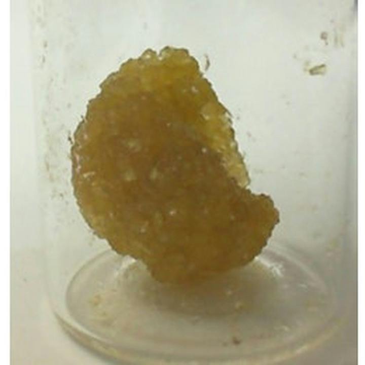 Sasquatch Bait Sugar - 1000mg