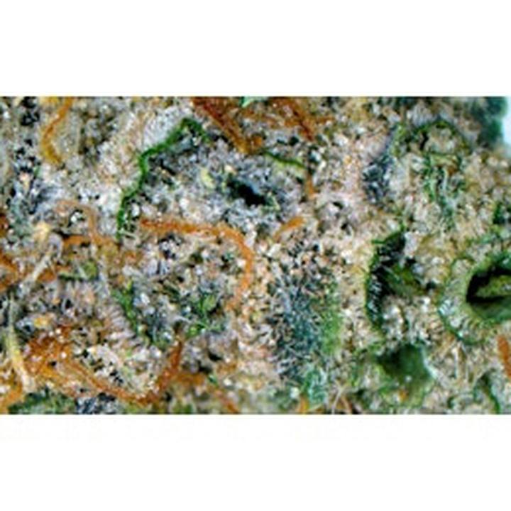 Ken's OG - Loose cannabis product