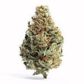 MMK Farming | Bulk Flower - White Runtz