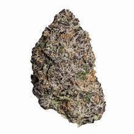 Divinity Cultivation | Bulk Flower - Gary Payton Runtz