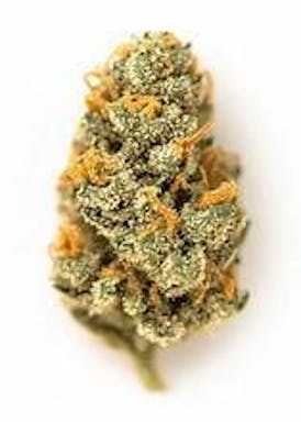 Evok | Bulk Flower - Gelatomo