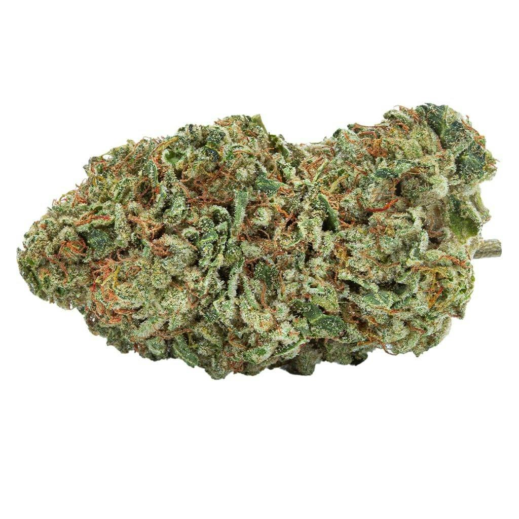 Rotterdam Indica 7g - Rotterdam Indica 7g Dried Flower