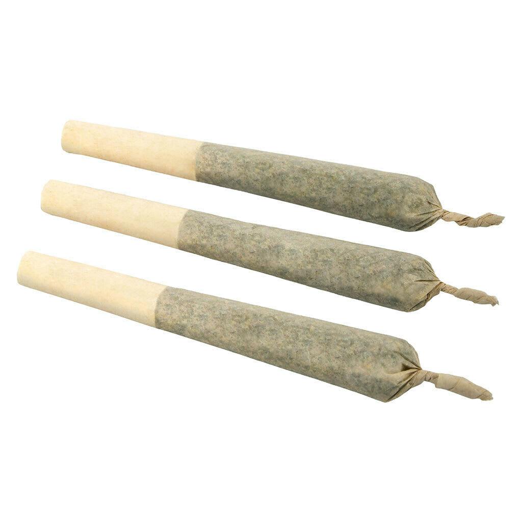 Go Play Coastal Sage Pre-Roll 3x0.5g - Go Play Coastal Sage Pre-Roll 3x0.5g Pre-Rolls