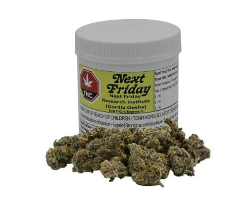 Research Institute 3.5g - Research Institute 3.5g Dried Flower