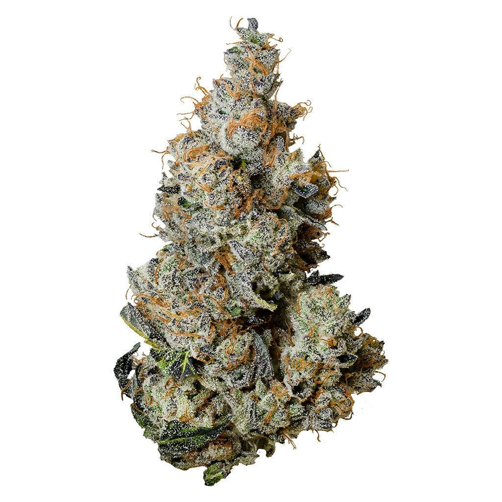 Triple Burger 3.5g - Triple Burger 3.5g Dried Flower