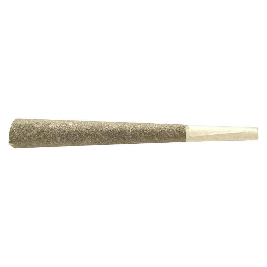 Raptors Rntz Pre-Roll - Raptors Rntz Pre-Roll 1x1g Pre-Rolls