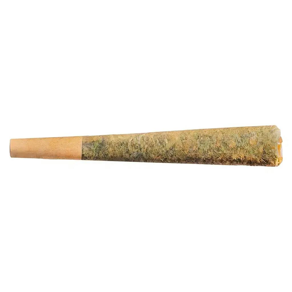 Night Rider Distillate Infused Pre-Roll - Night Rider Distillate Infused Pre-Roll 1x1g Distillates