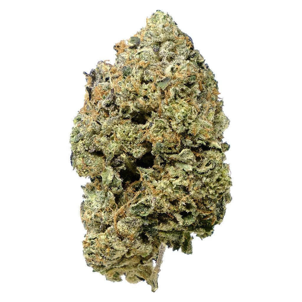 Pink Goo 7G - Pink Goo 7g Dried Flower