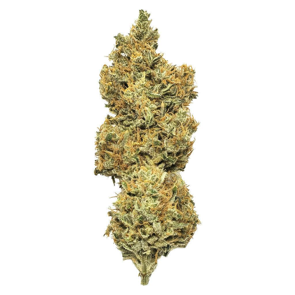 Royal Moby - Royal Moby 7g Dried Flower