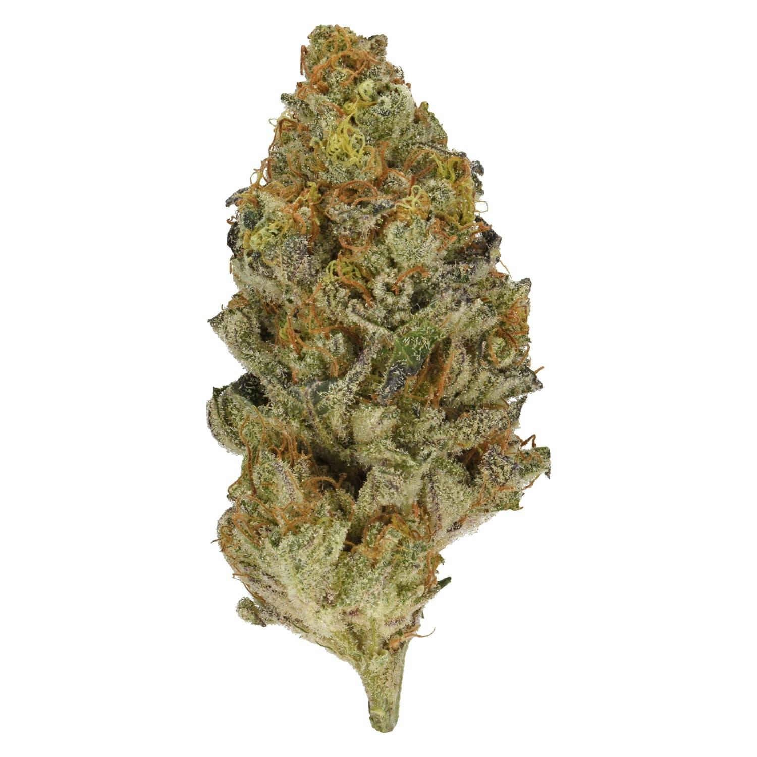 Animal Face #10 - Animal Face #10 3.5g Dried Flower