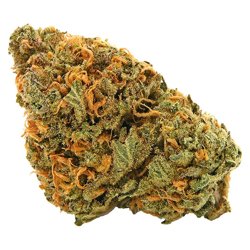 Limited Edition - Limited Edition 3.5g Dried Flower
