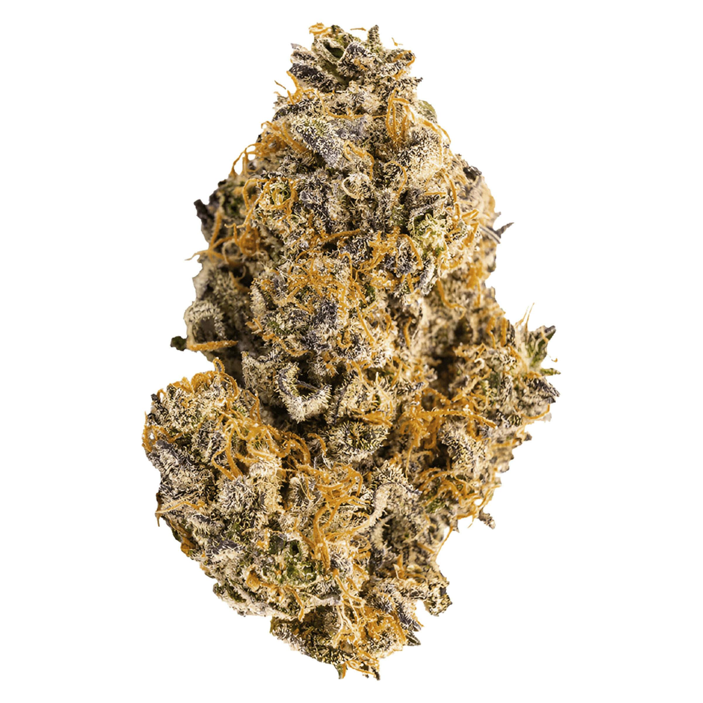 Tropicali - Tropicali 3.5g Dried Flower