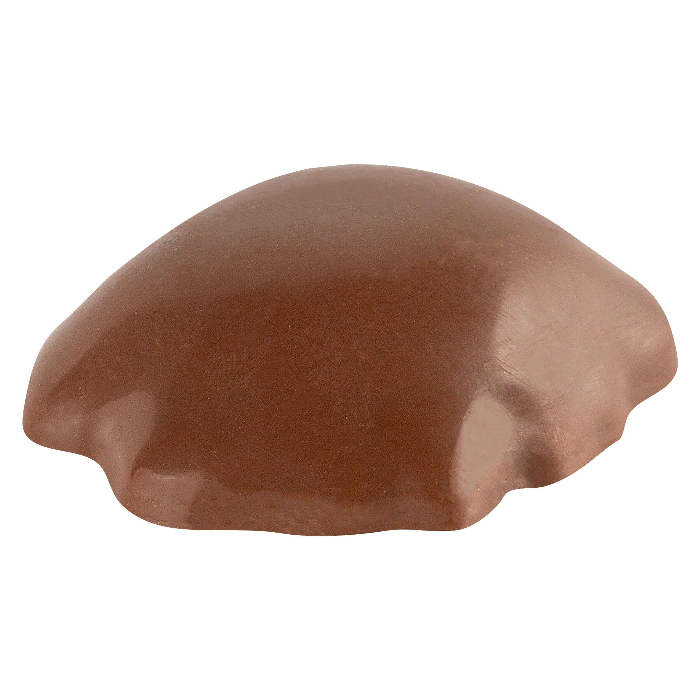 Chocolate Caramel Pecan Cluster - Chocolate Caramel Pecan Cluster 1 Pack Chocolates
