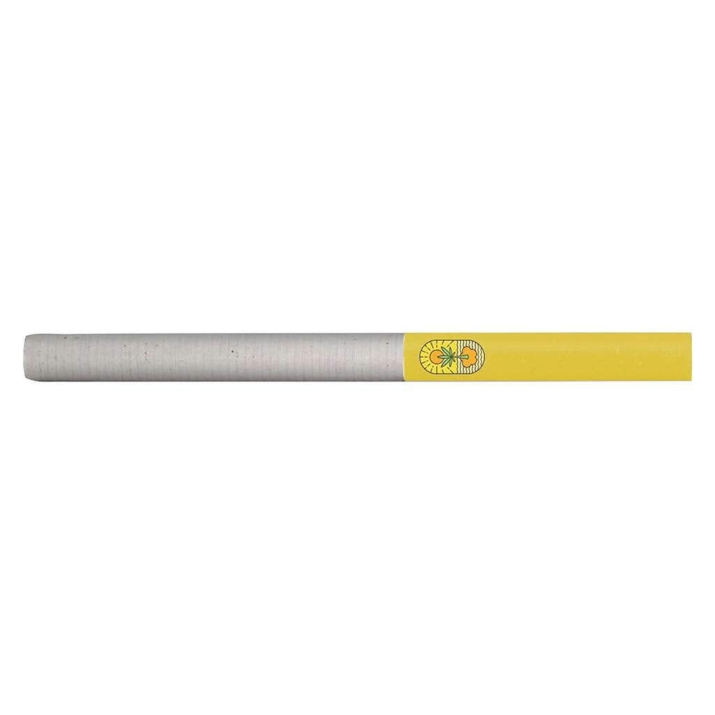 Amnesia Haze Pre-Roll - Amnesia Haze Pre-Roll 10x0.35g Pre-Rolls