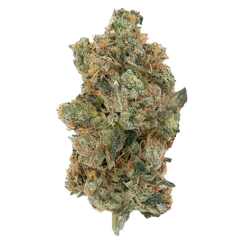 Onion Ringz - Onion Ringz 28g Dried Flower