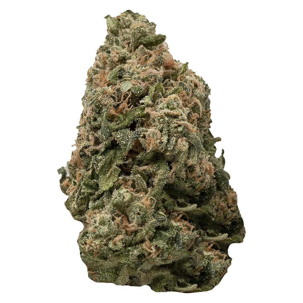 Sour Grapefruit Haze - Sour Grapefruit Haze 3.5g Dried Flower