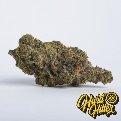 High Neighbor Flower Bloody Orange (IW)