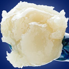 Tropicana Cookies | Cold Cure Live Rosin