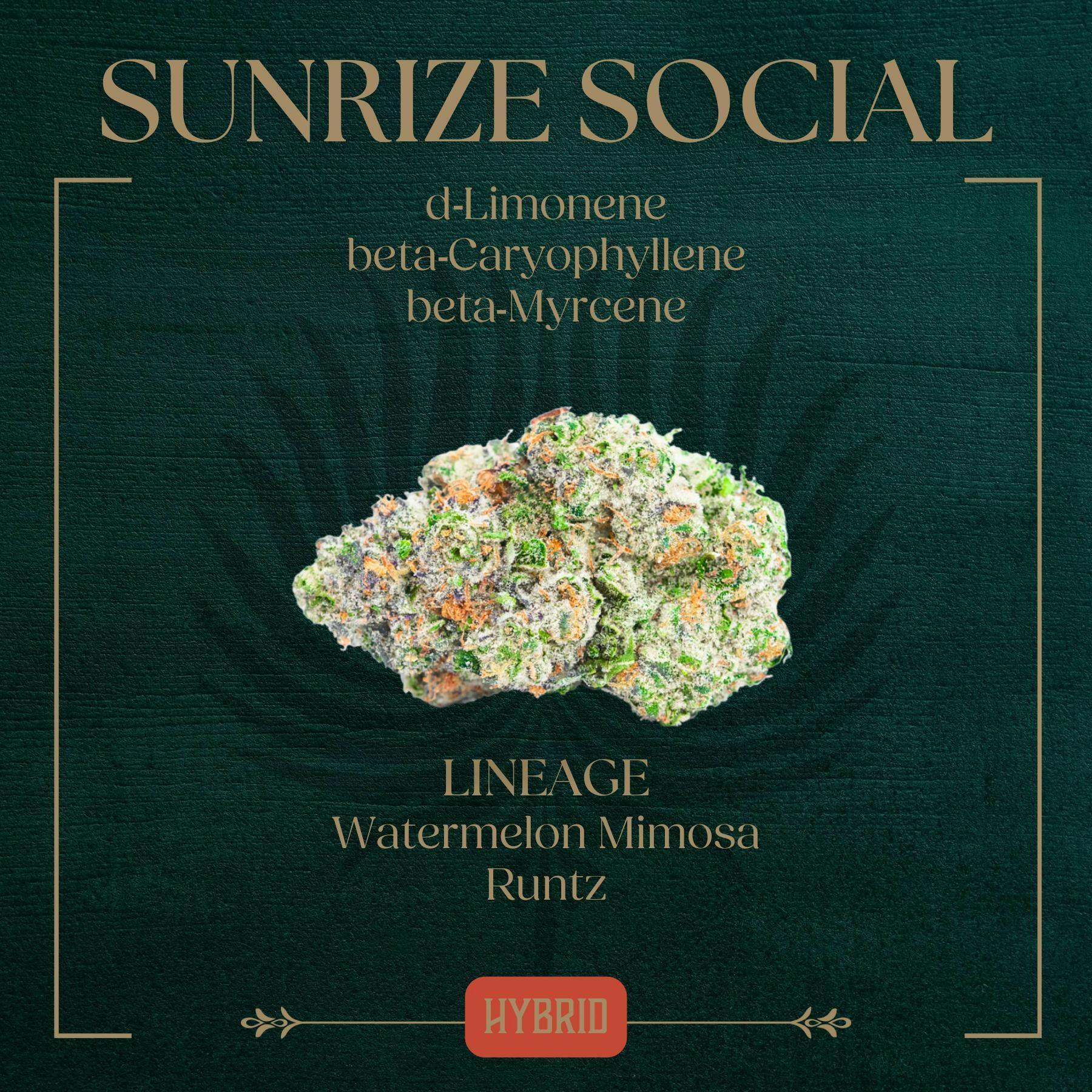 Sunrize Social