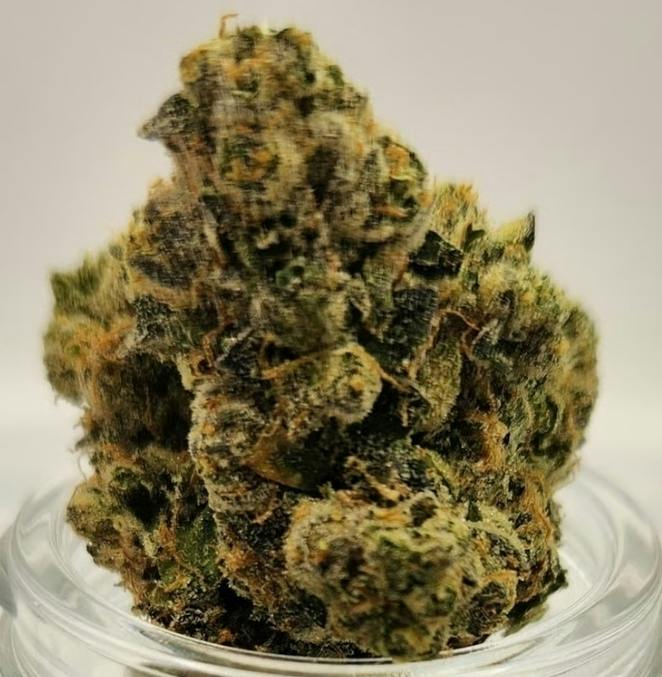 Garcia Hand-Picked Frosted Jungle Deli Style 1g Deli Style
