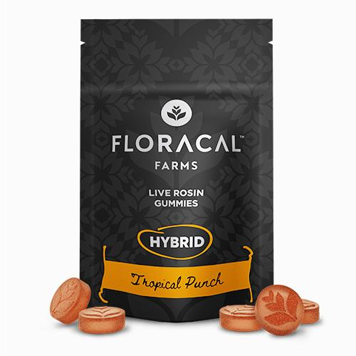 FloraCal | Live Rosin Gummies Tropical Punch (H) | [10pk] at Mintz Cannabinoid Dispensary and Smoke Shop Sharon