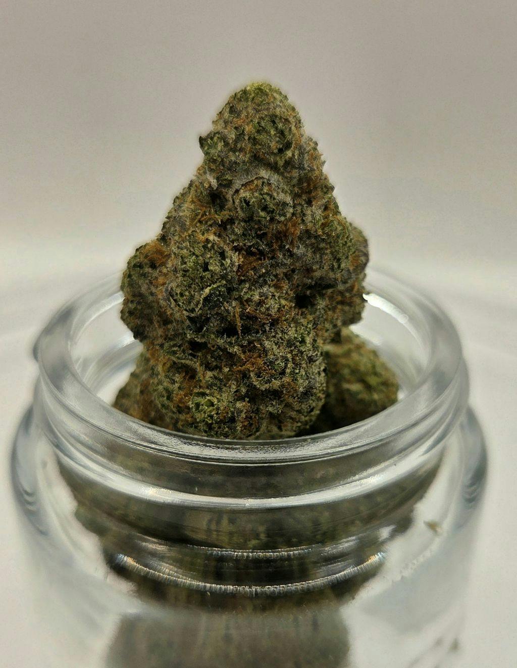 Garcia Hand-Picked Swampwater Fumez Deli Style 1g Deli Style