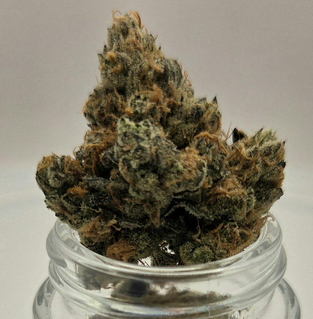 MI Loud Flower Farms Fuel Jar Deli Style 1g Deli Style