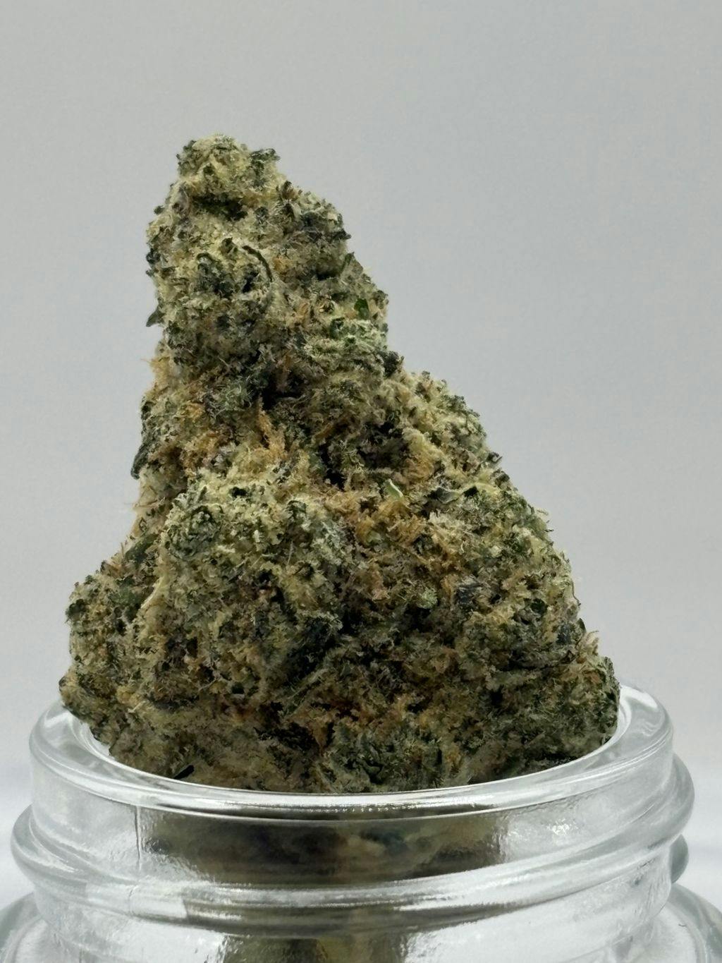 Garcia Hand-Picked Landfill Haze #19 Deli Style 1g Deli Style