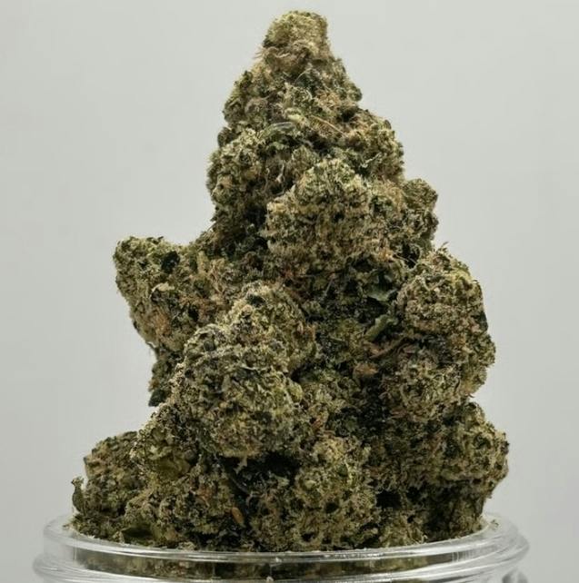 Garcia Hand-Picked Florida Kush Deli Style 1g Deli Style