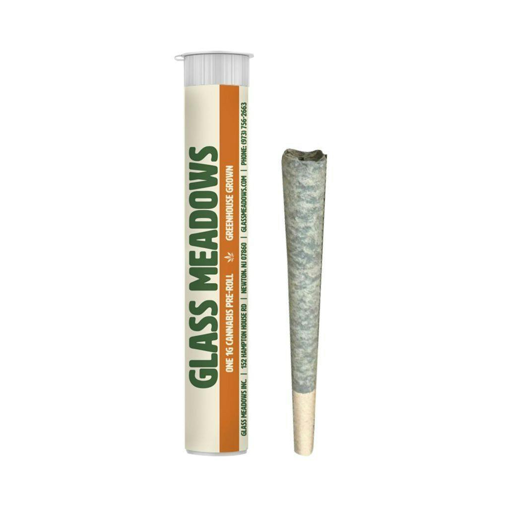 Glass Meadows Spritz Titz Single | 1g at Noire Weed Dispensary Maplewood