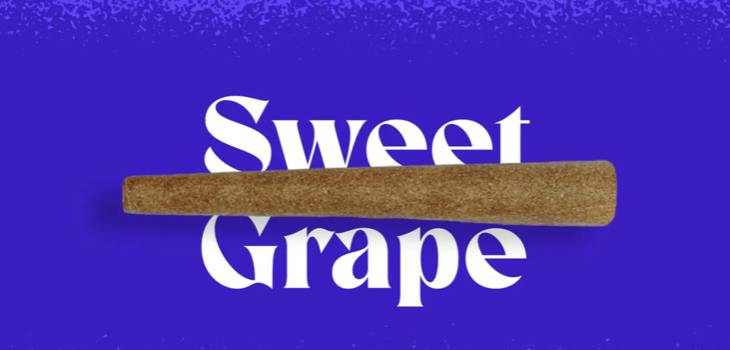 Doinks Sweet Grape Infused Single | 1g