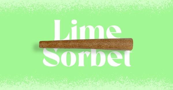 Doinks Lime Sorbet Infused Blunt Single | 1g