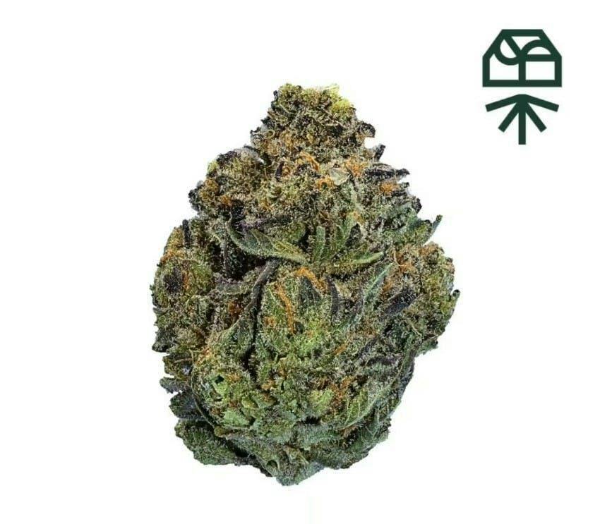 GRAPE BUBBLEGUM | MIXED BUDS | 7G cannabis product