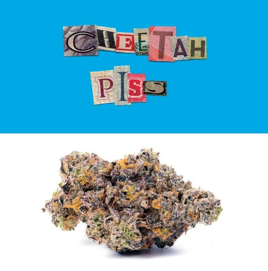 CHEETAH PISS | BUDS | 14G