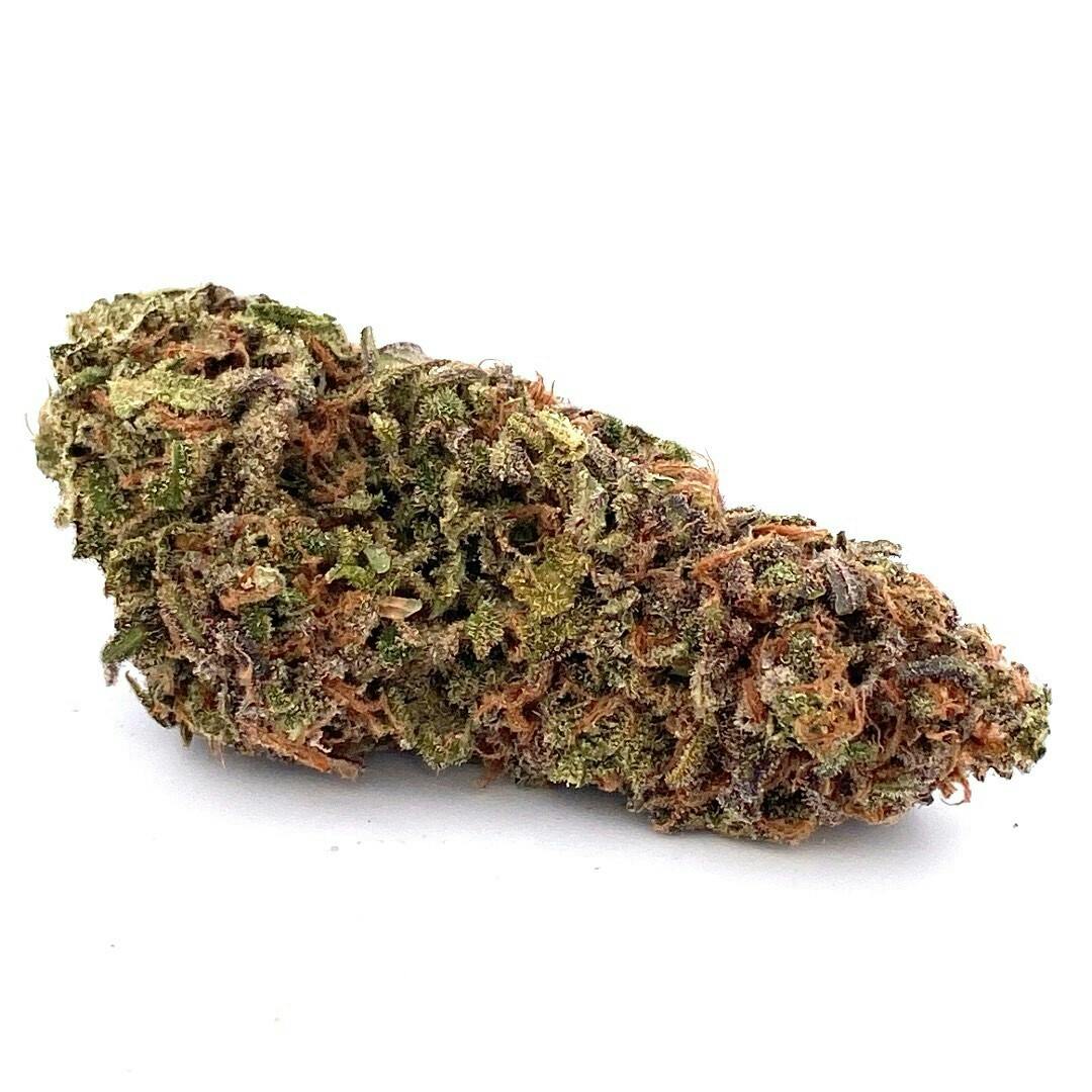 Ayo: Flower | Blue Zushi at Good Day Farm Bossier City