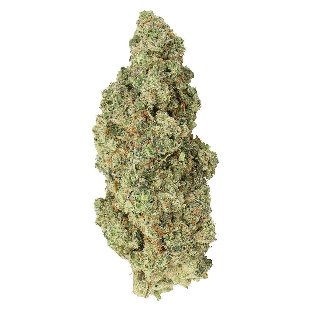 Carmel - Candy Gas Face x Masterpiece - 14g