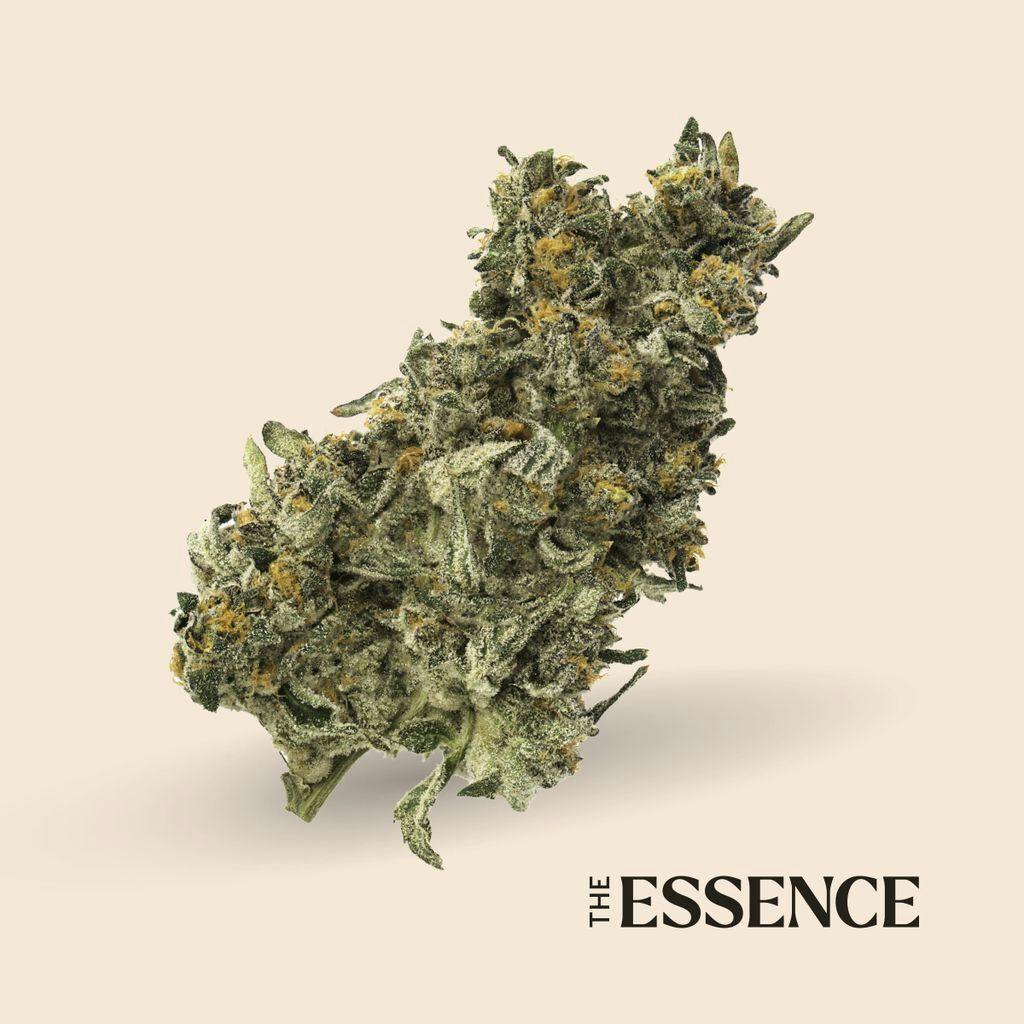 (the) Essence Purple Milk 7g