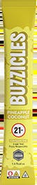Buzzicles: Popsicle Pineapple Coconut 5mg/1pk