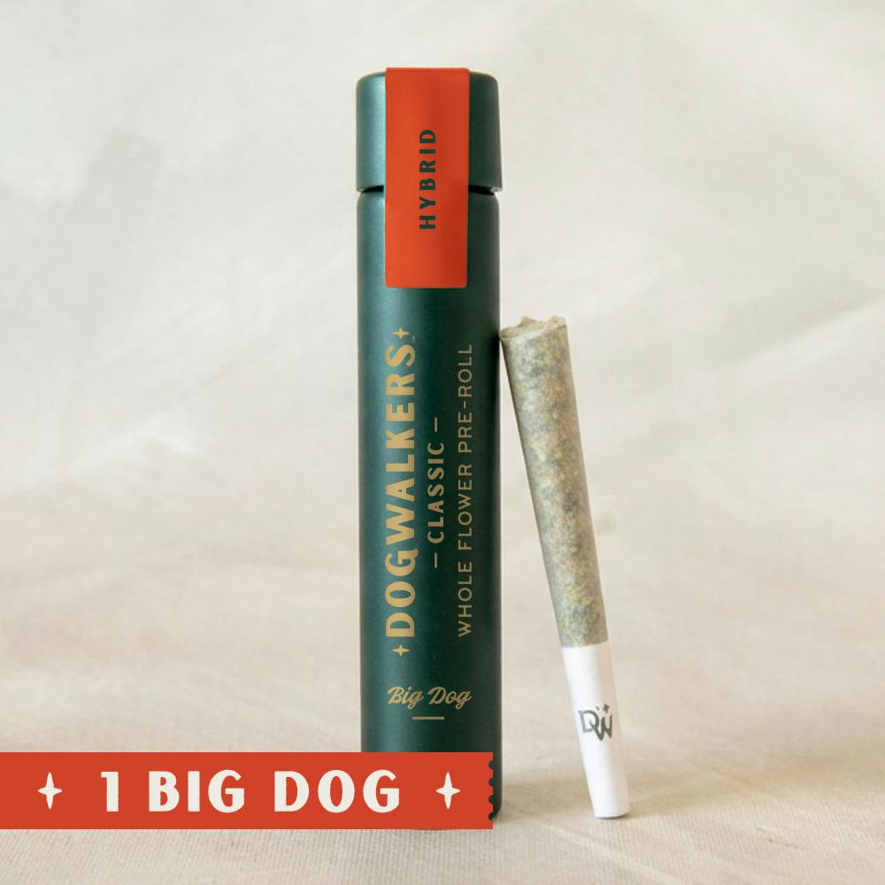 Afternoon Delight #4 [.75g] | Dogwalkers - Big Dog