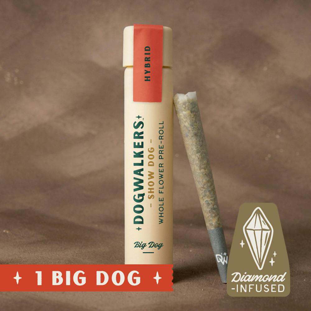 Afternoon Delight #4 [1g] | Dogwalkers - Big Show Dog Infused Pre-Rolls