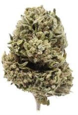 CANNATRUST - ILLEMONATI (28.3G) [H]