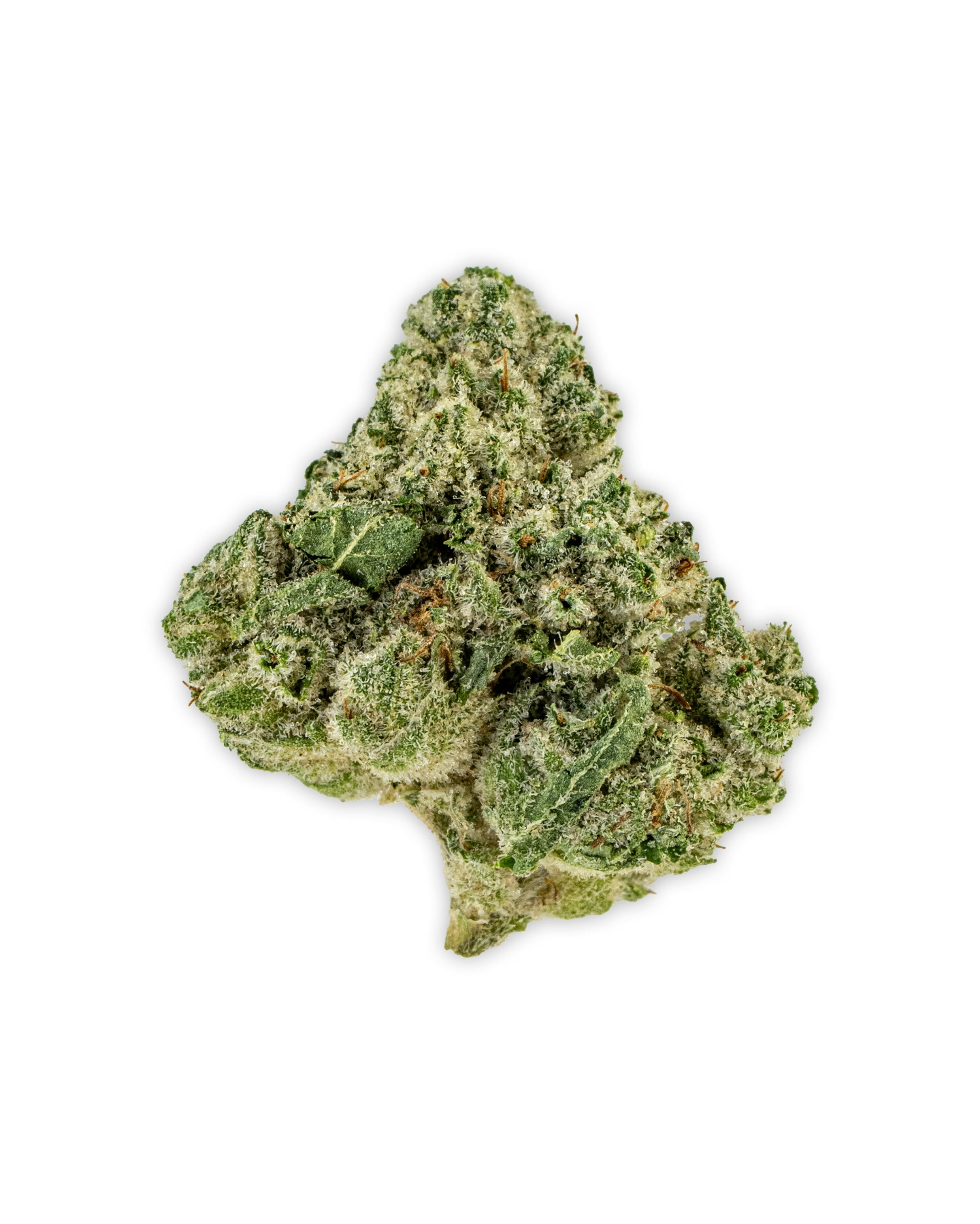Indoor BANANA KUSH