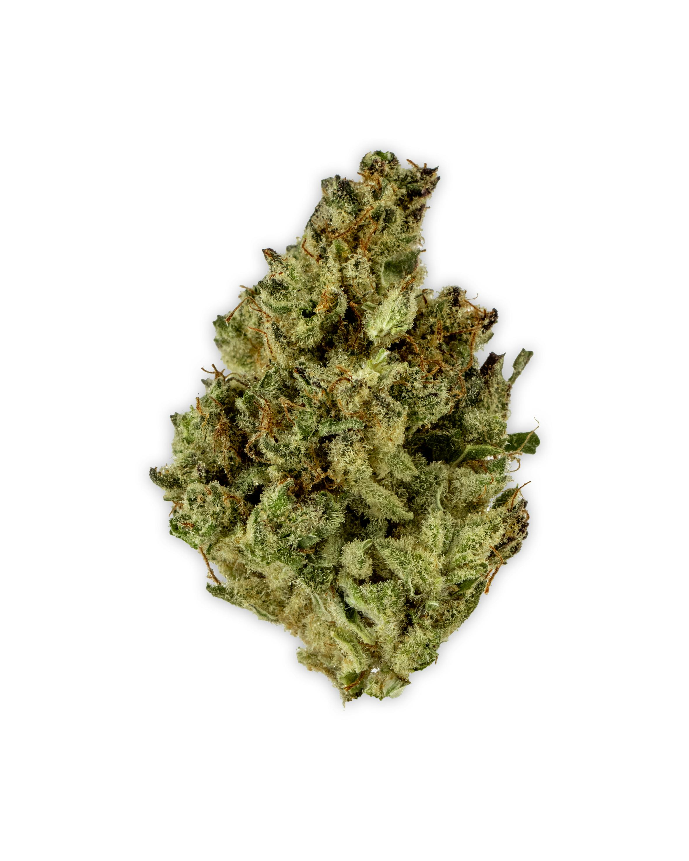 TANGERINE PUNCH