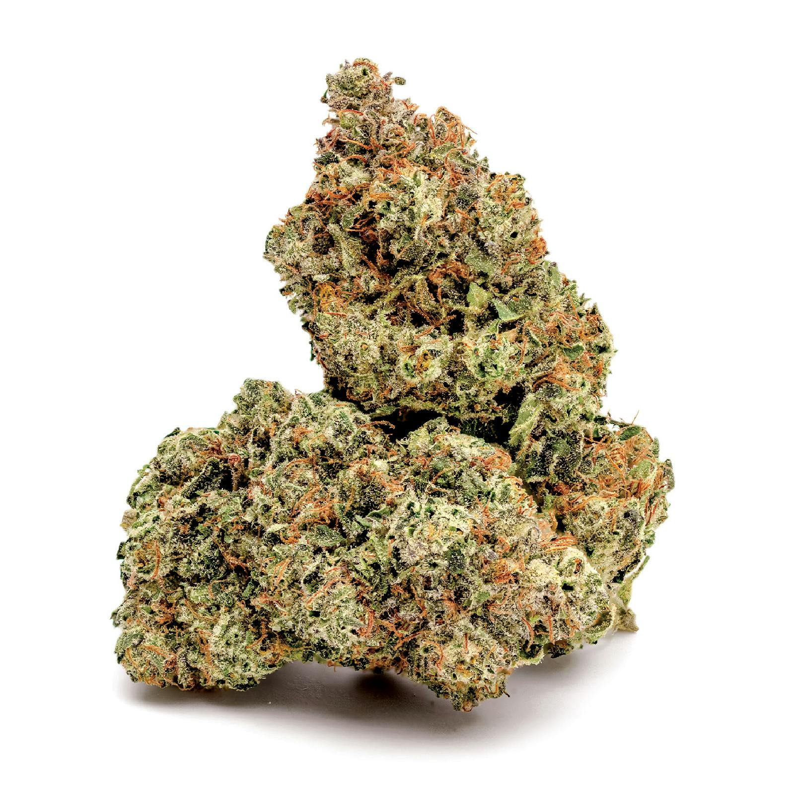 KAI Citrix Buds